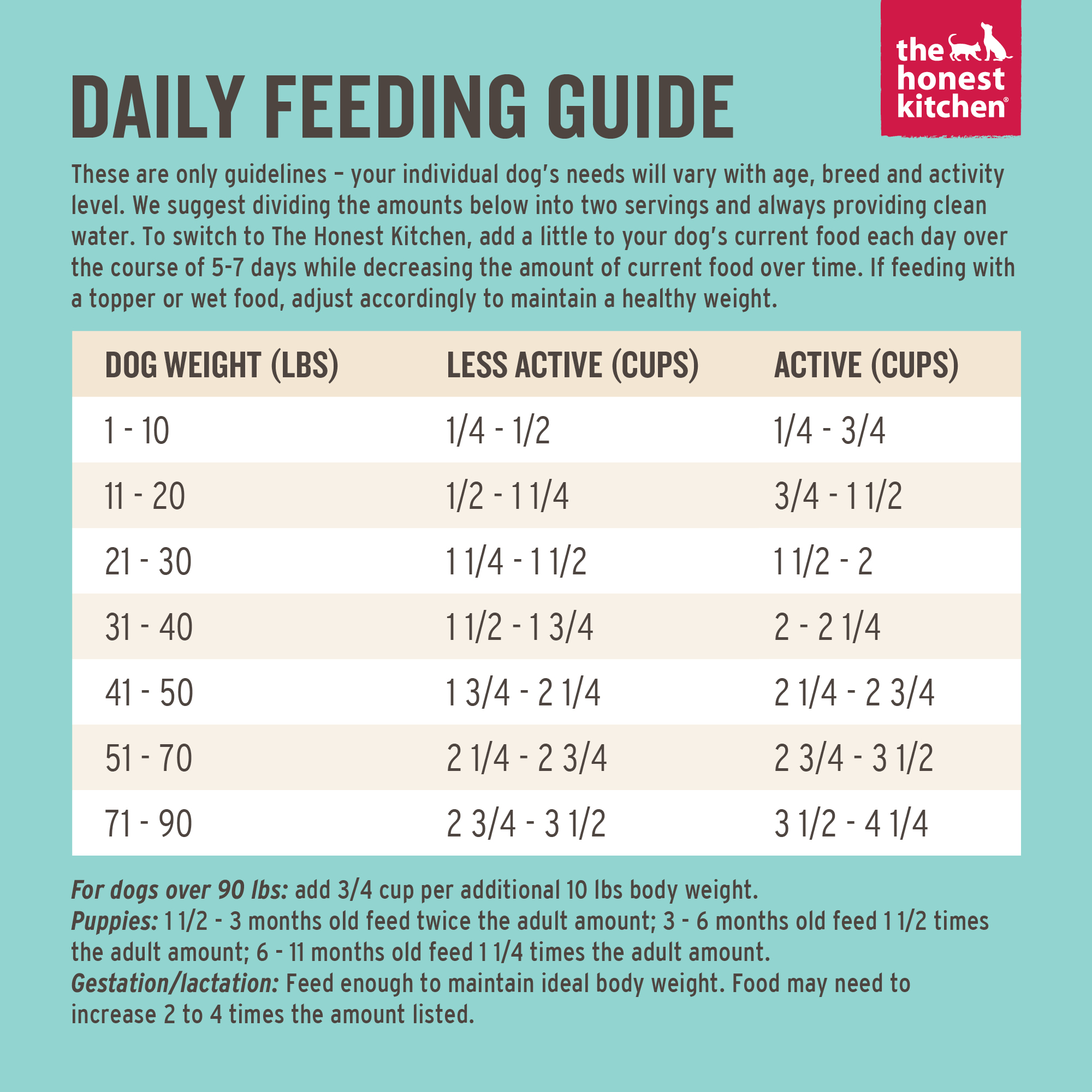 How Much Food Should I Feed My Dog Chart